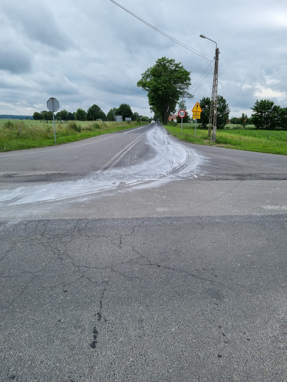 Nietypowa akcja strażaków trwała 7 godzin