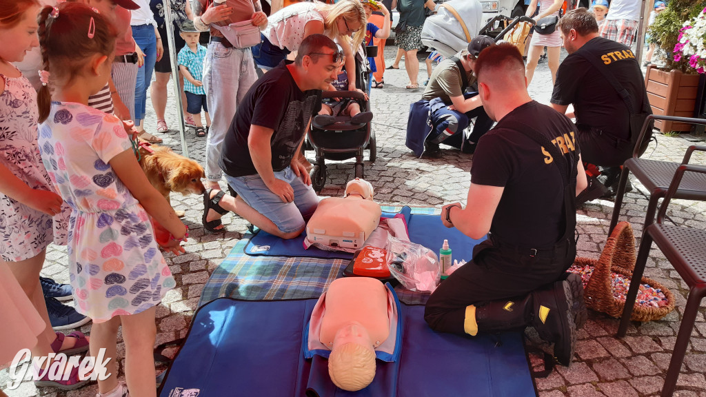 Tarnowskie Góry. Piknik strażacki