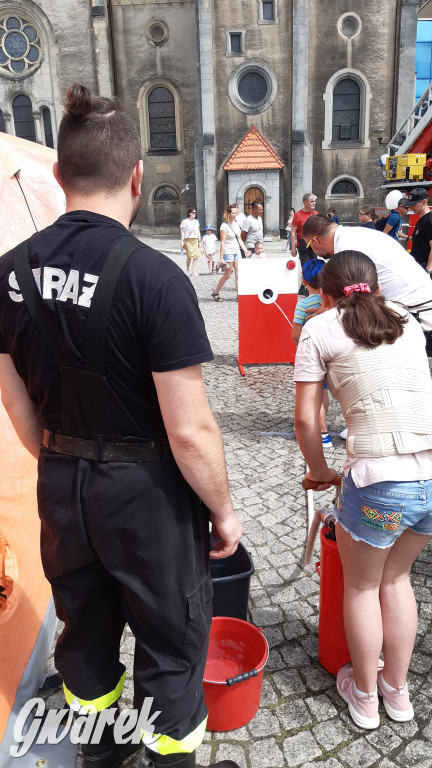 Tarnowskie Góry. Piknik strażacki