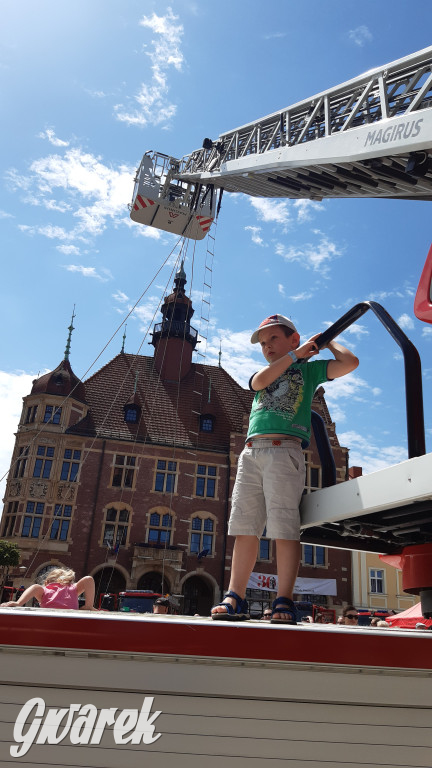 Tarnowskie Góry. Piknik strażacki