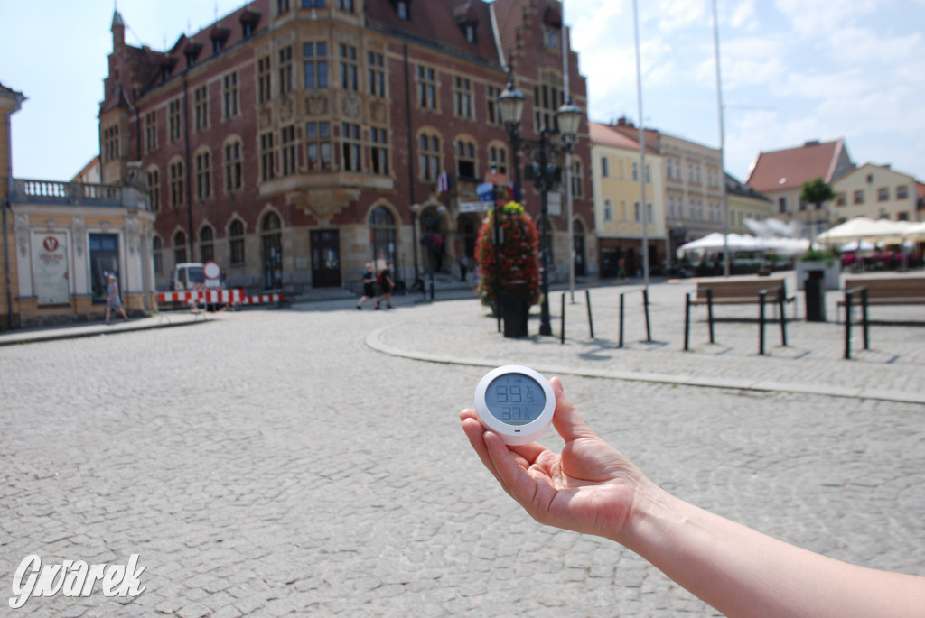 Tarnowskie Góry. Jak smażymy się w betonowym mieście