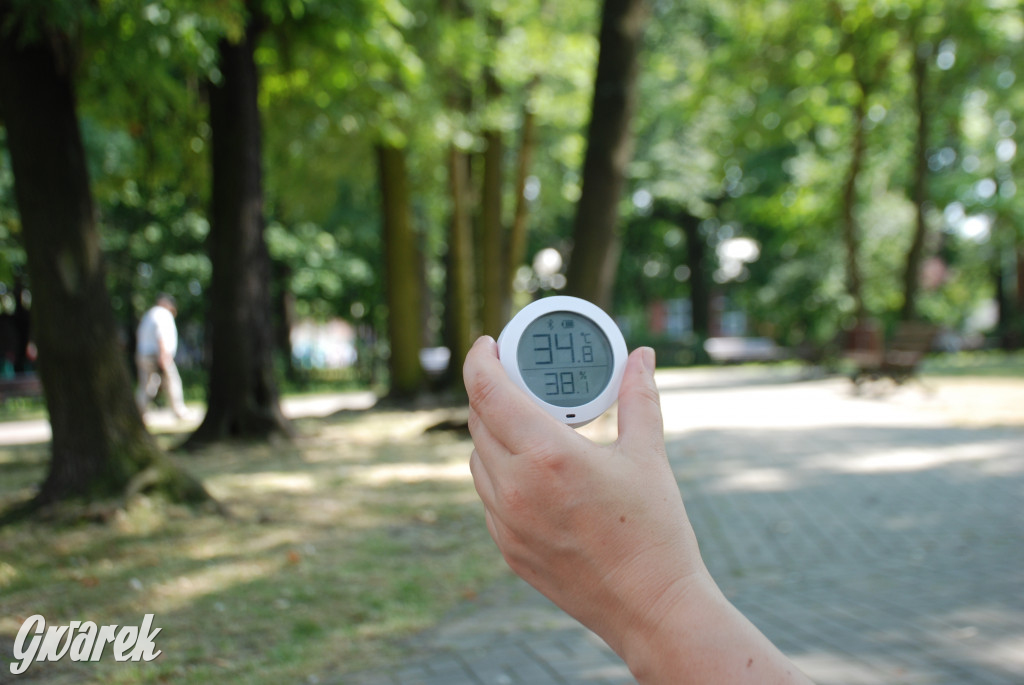 Tarnowskie Góry. Jak smażymy się w betonowym mieście