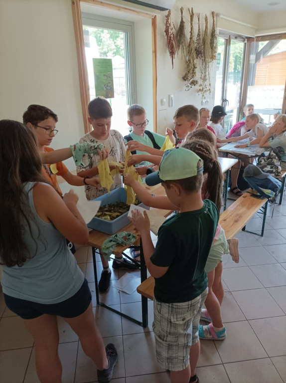 Tarnowskie Góry. Półkolonie w Jordanie