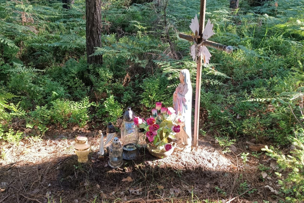 Ekshumacja szczątków żołnierzy