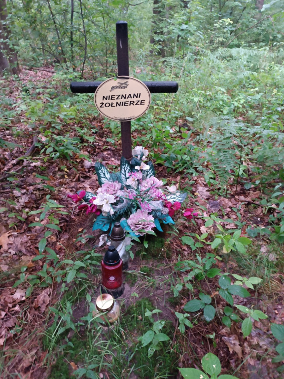 Ekshumacja szczątków żołnierzy