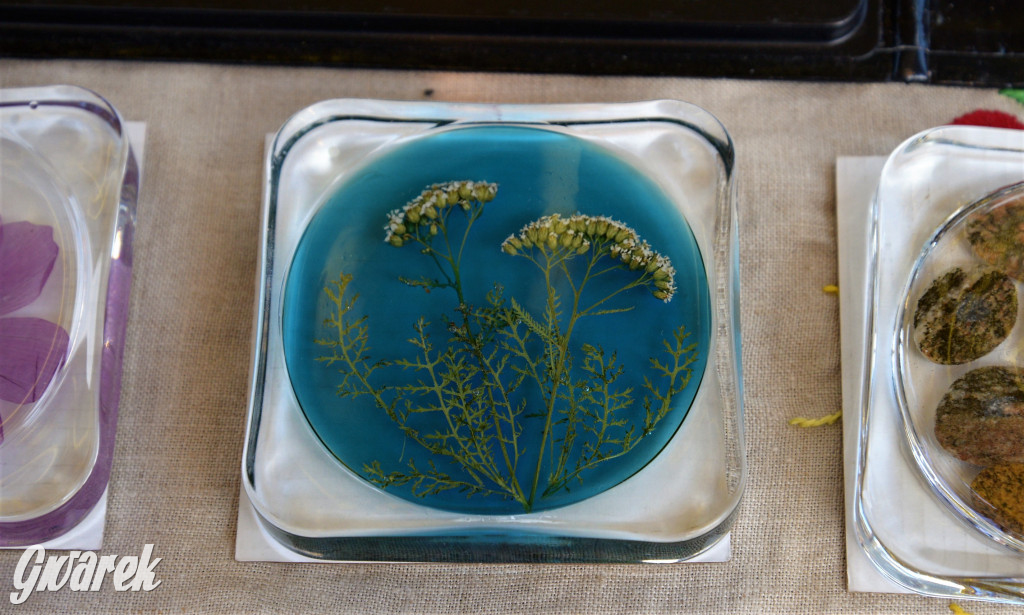 Tarnowskie Góry. Barbórka w środku lata 2022