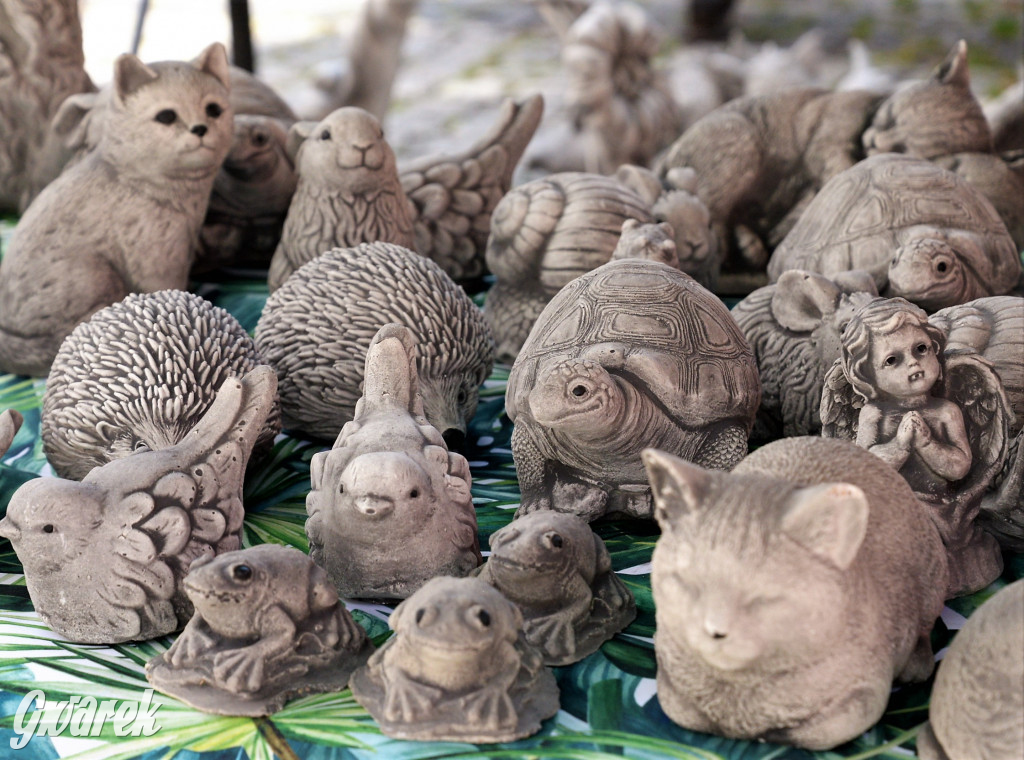 Tarnowskie Góry. Barbórka w środku lata 2022