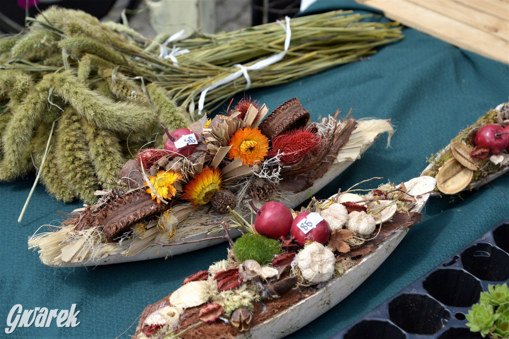 Tarnowskie Góry. Barbórka w środku lata 2022