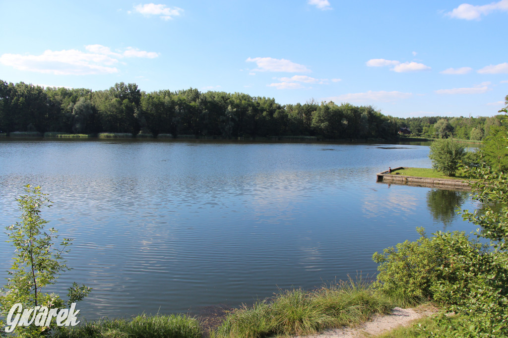 Rogoźnik - blisko, zielono, nad wodą