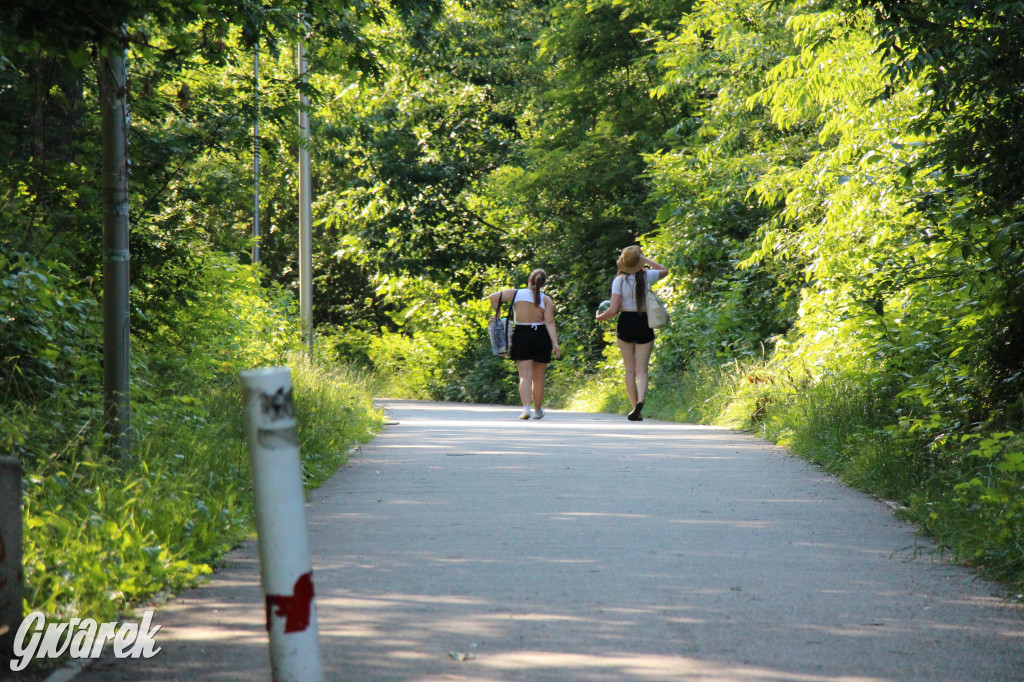Rogoźnik - blisko, zielono, nad wodą