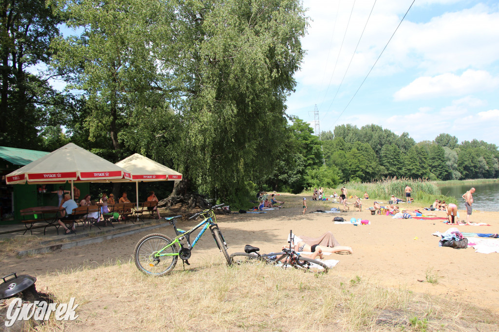 Rogoźnik - blisko, zielono, nad wodą