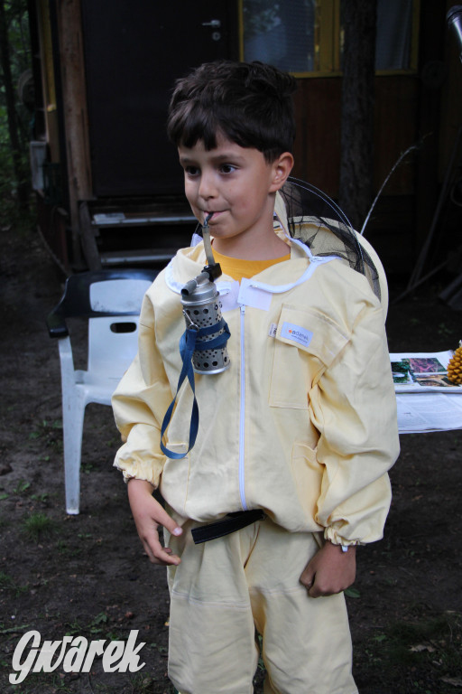 Pszczele imperium w Nowym Chechle