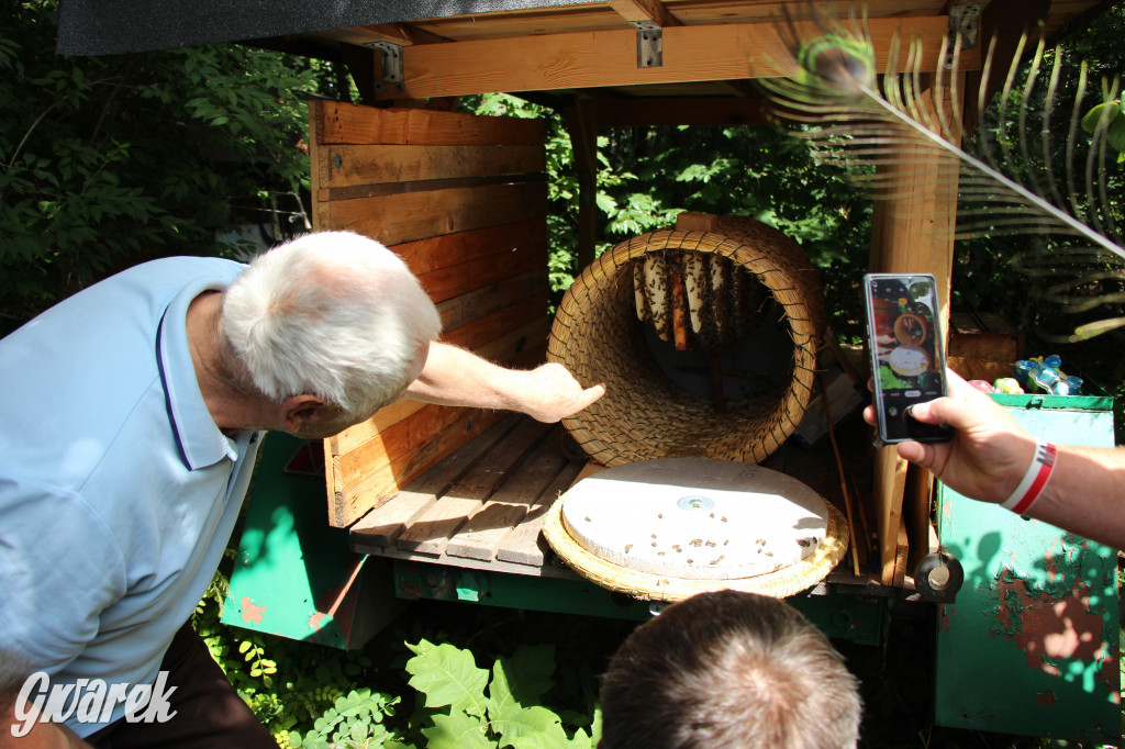 Pszczele imperium w Nowym Chechle