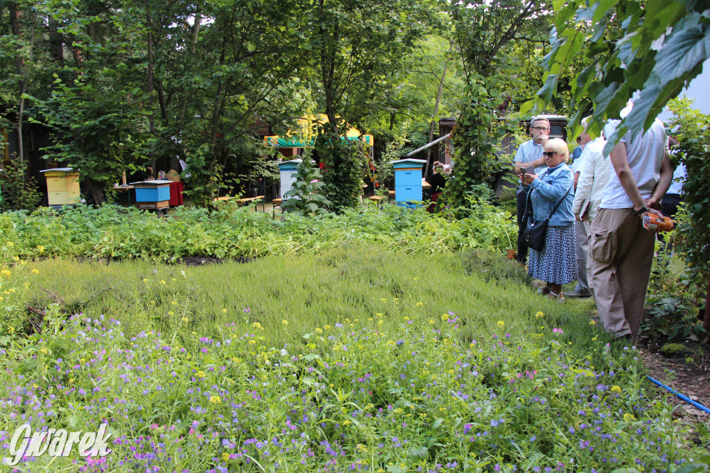 Pszczele imperium w Nowym Chechle