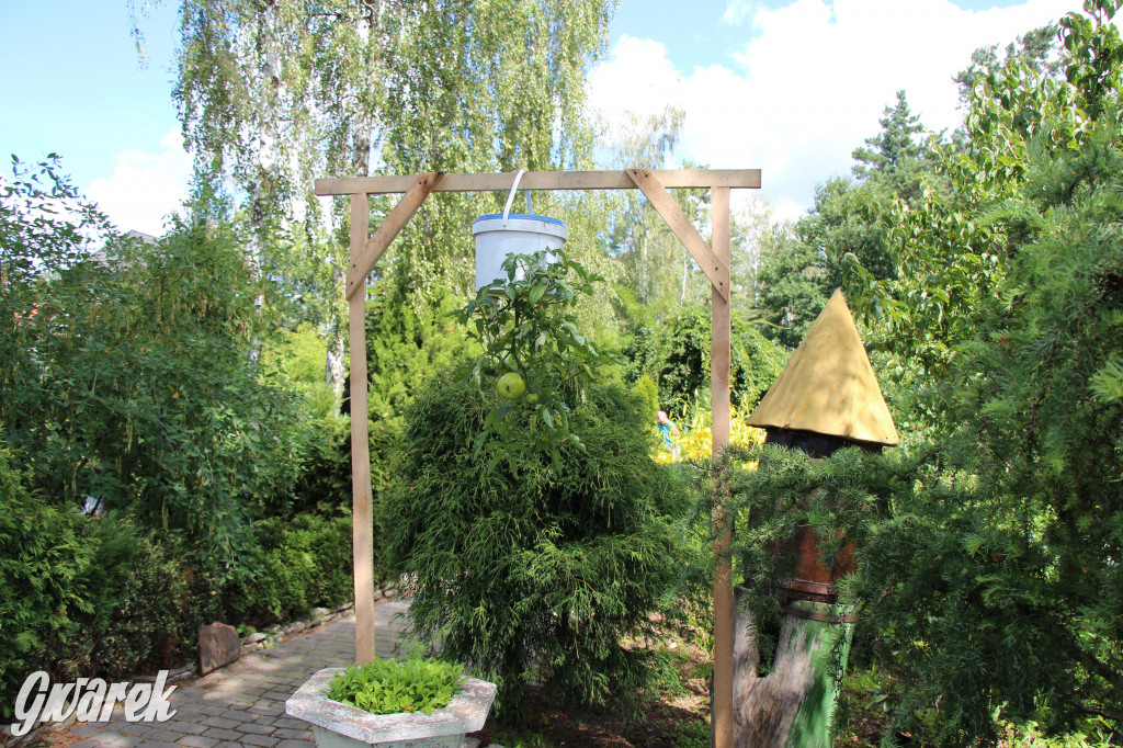 Pszczele imperium w Nowym Chechle