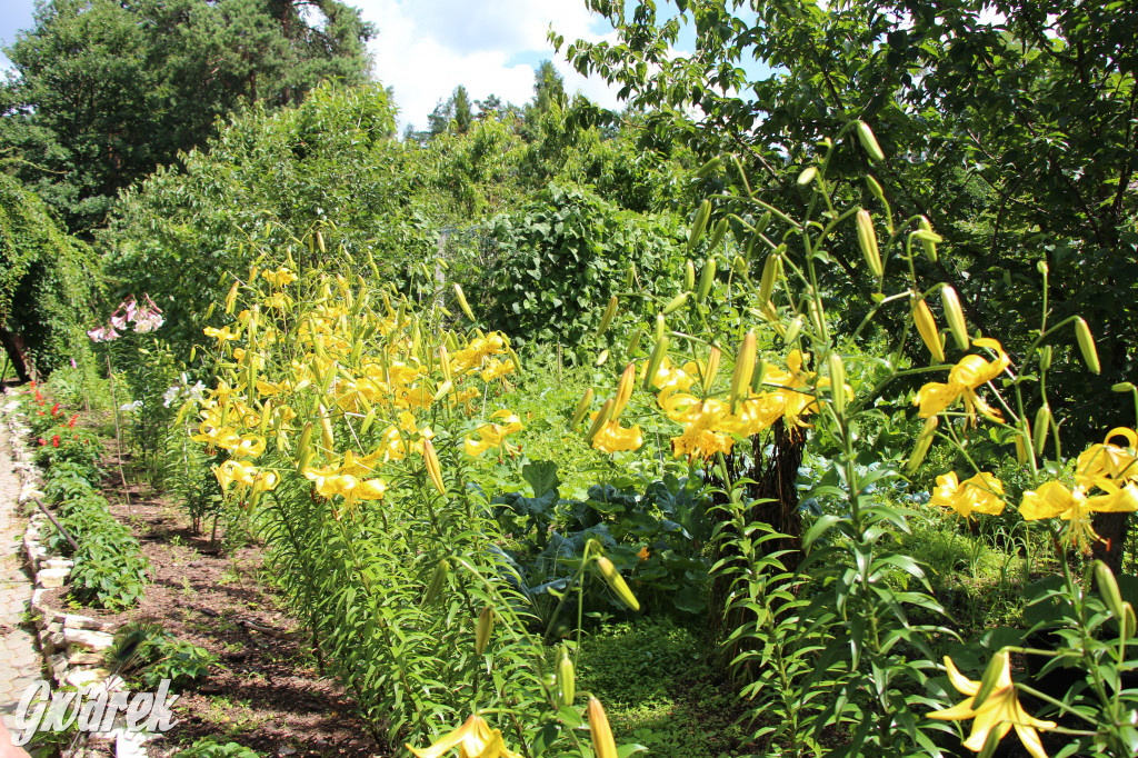 Pszczele imperium w Nowym Chechle