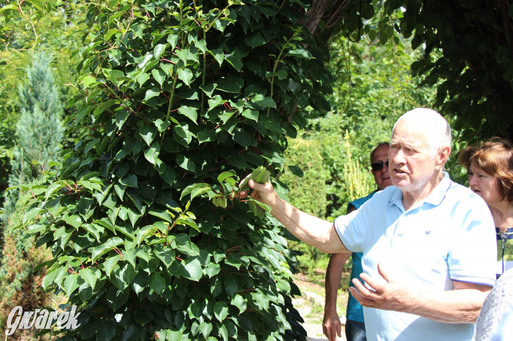 Pszczele imperium w Nowym Chechle