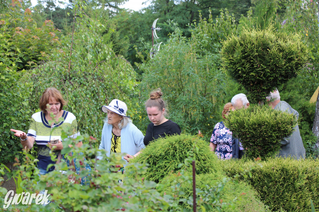 Pszczele imperium w Nowym Chechle