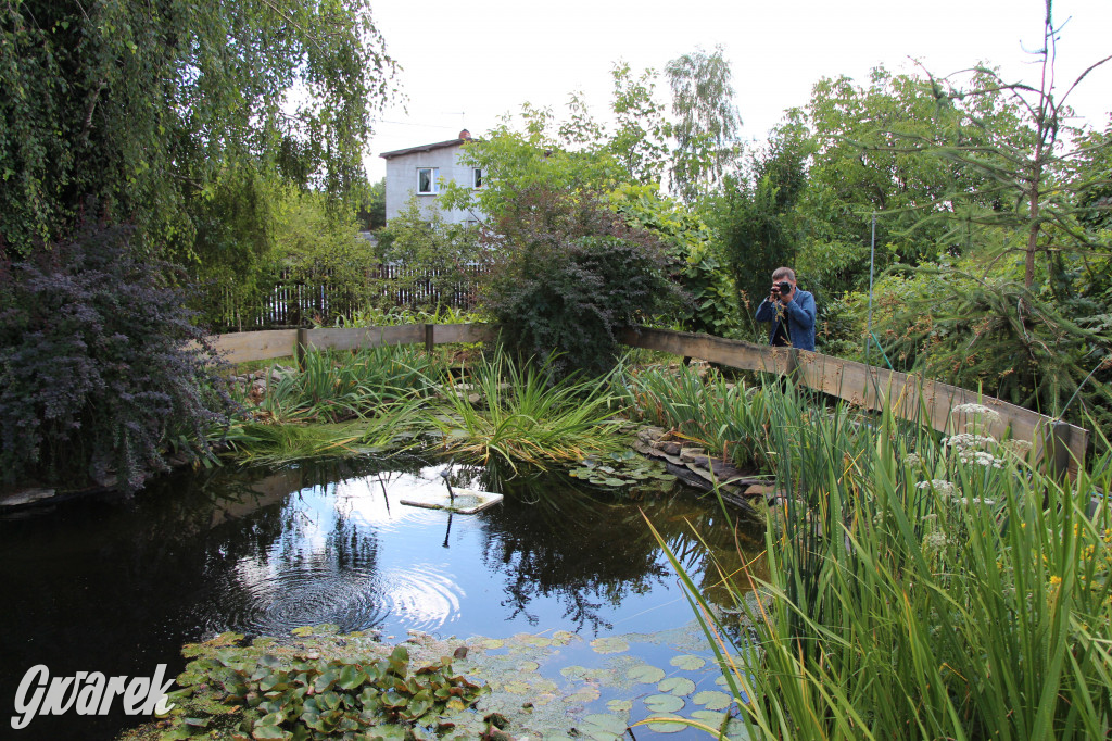 Pszczele imperium w Nowym Chechle