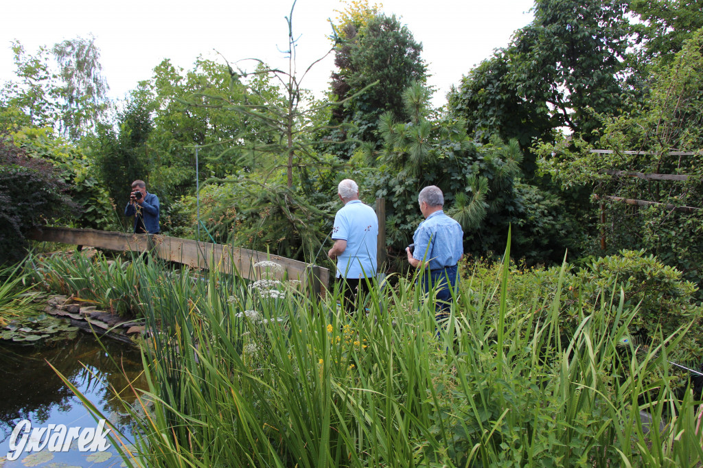 Pszczele imperium w Nowym Chechle