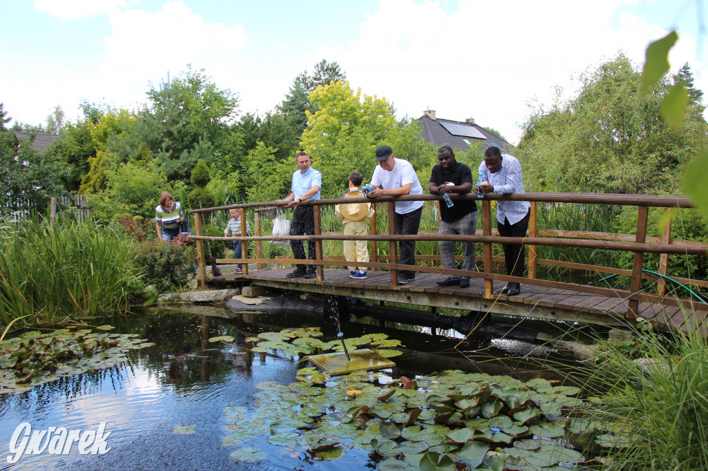 Pszczele imperium w Nowym Chechle