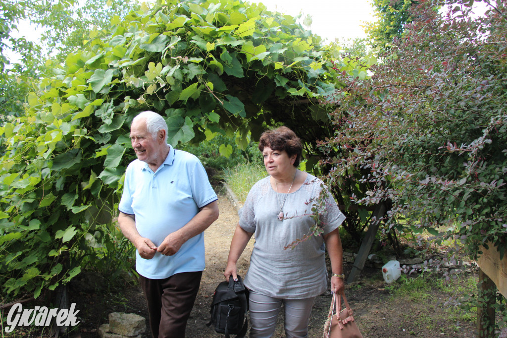 Pszczele imperium w Nowym Chechle