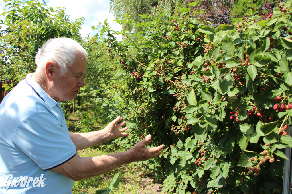 Pszczele imperium w Nowym Chechle