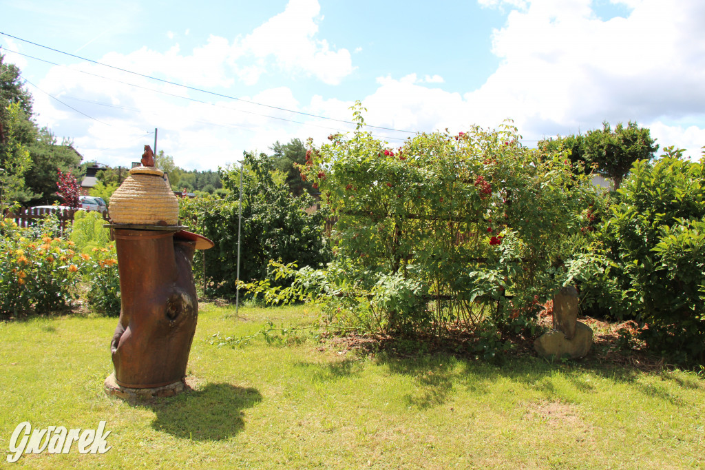 Pszczele imperium w Nowym Chechle