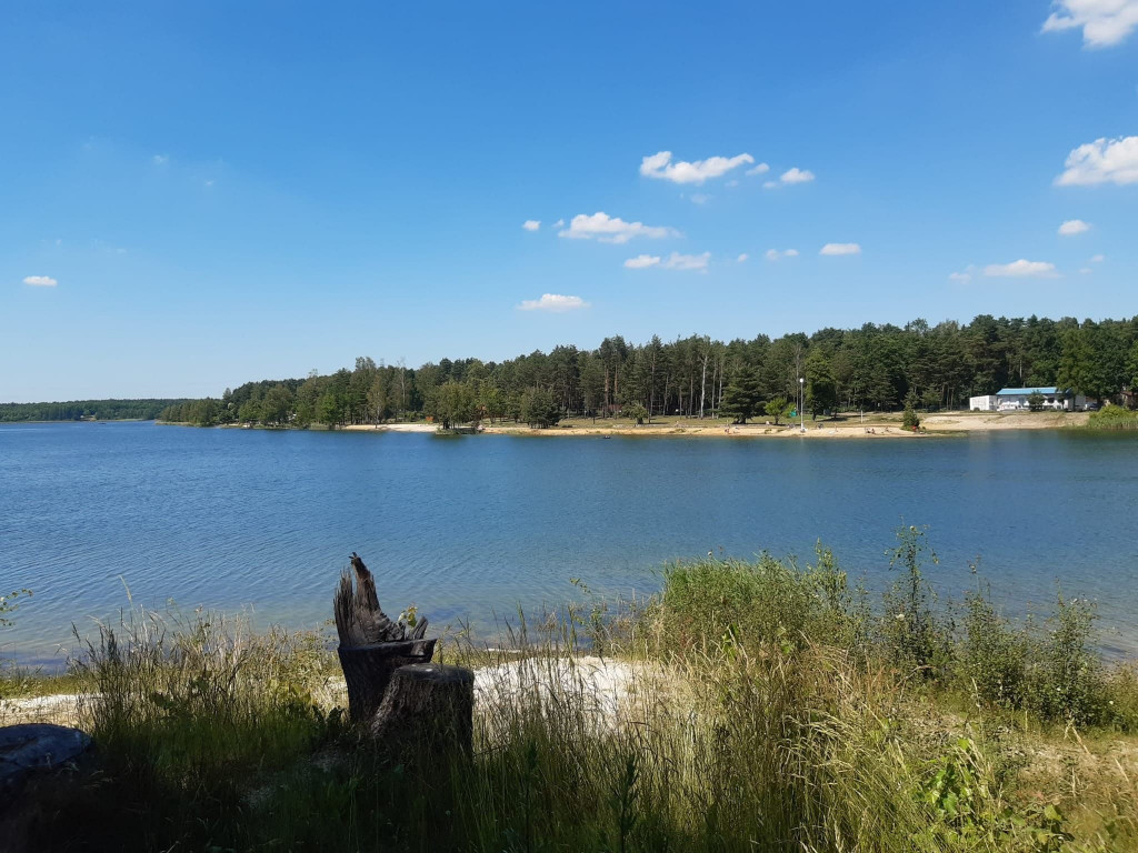 Zalew Nakło-Chechło. Walka z wywłócznikiem trwa