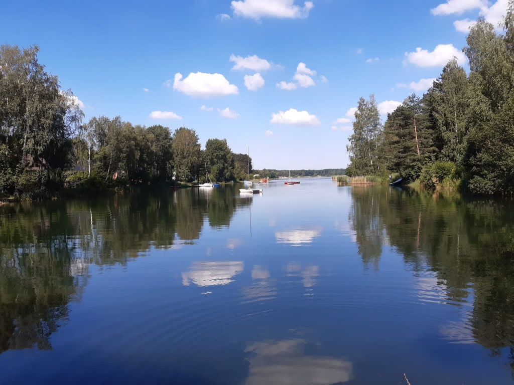 Zalew Nakło-Chechło. Walka z wywłócznikiem trwa