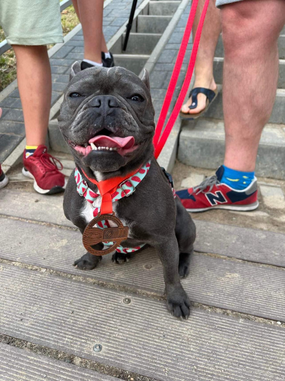 7 medali mistrzostw Polski dla MKS Park Wodny