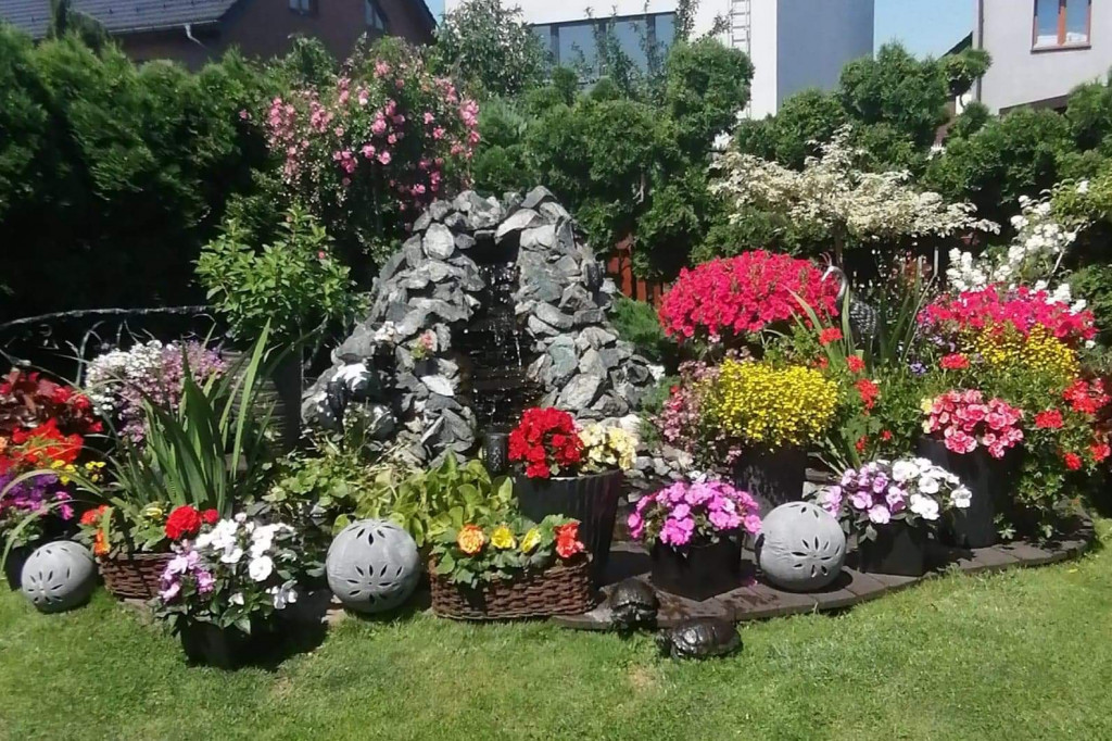 Plebiscyt na najładniejszy ogród i balkon 2022