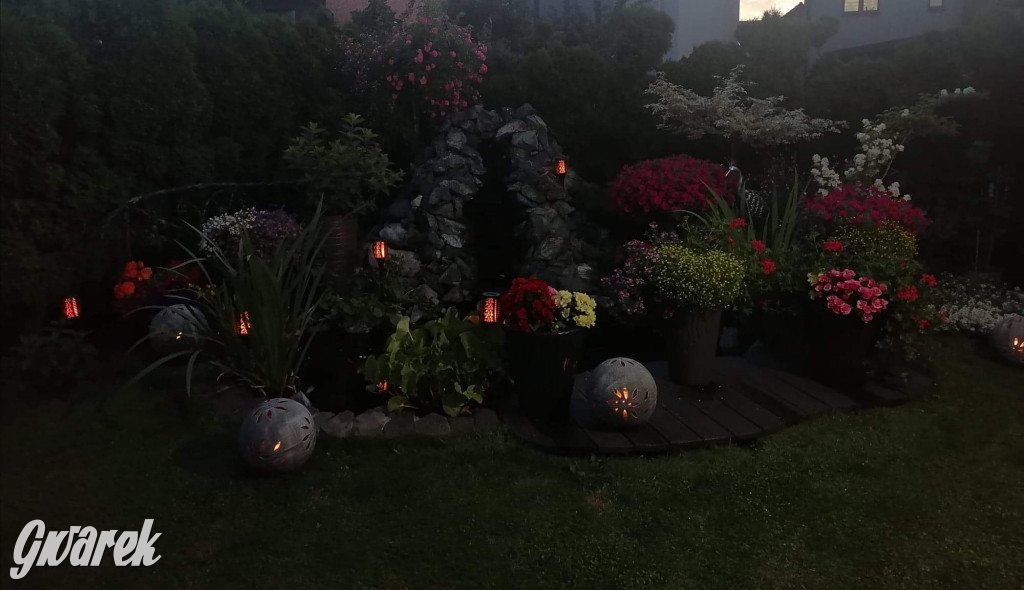 Plebiscyt na najładniejszy ogród i balkon 2022