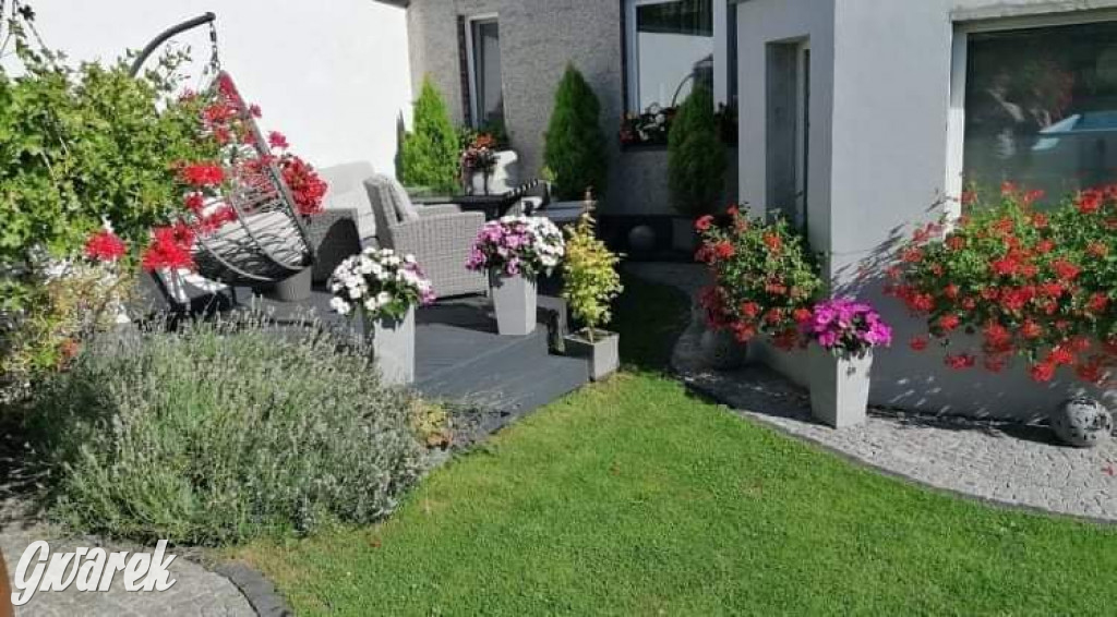 Plebiscyt na najładniejszy ogród i balkon 2022