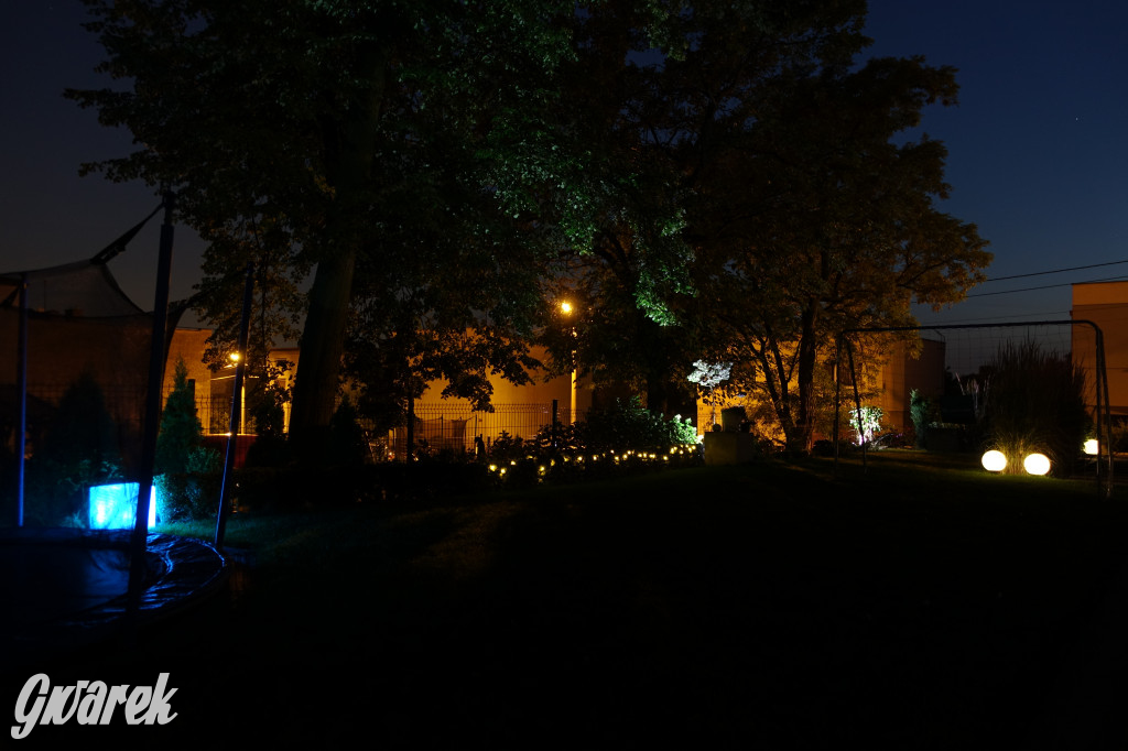 Plebiscyt na najładniejszy ogród i balkon 2022