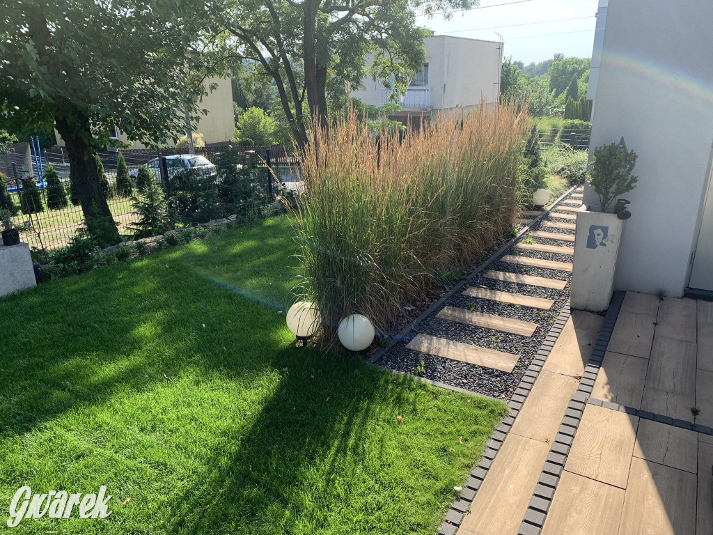 Plebiscyt na najładniejszy ogród i balkon 2022