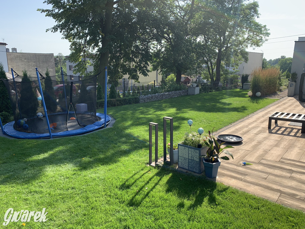 Plebiscyt na najładniejszy ogród i balkon 2022