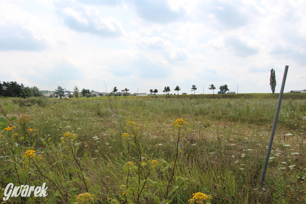 Kiedyś miała tu powstać galeria handlowa