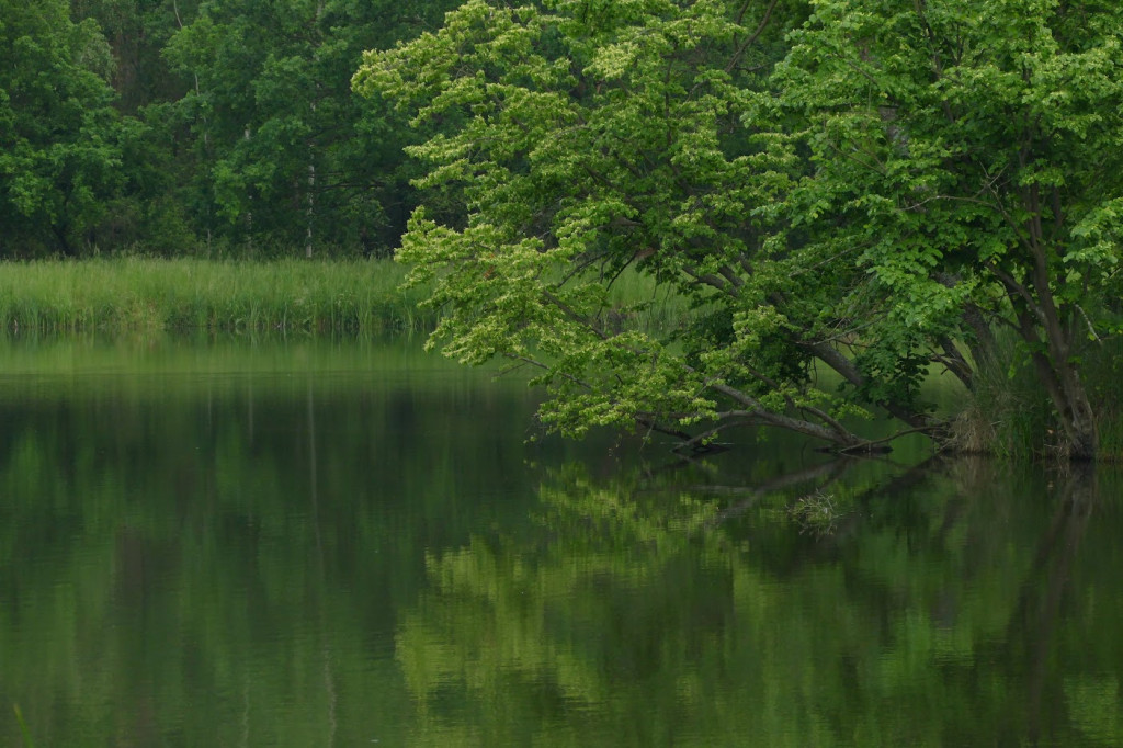 Stawy w Kośmidrach. Oskarżeni przed sądem