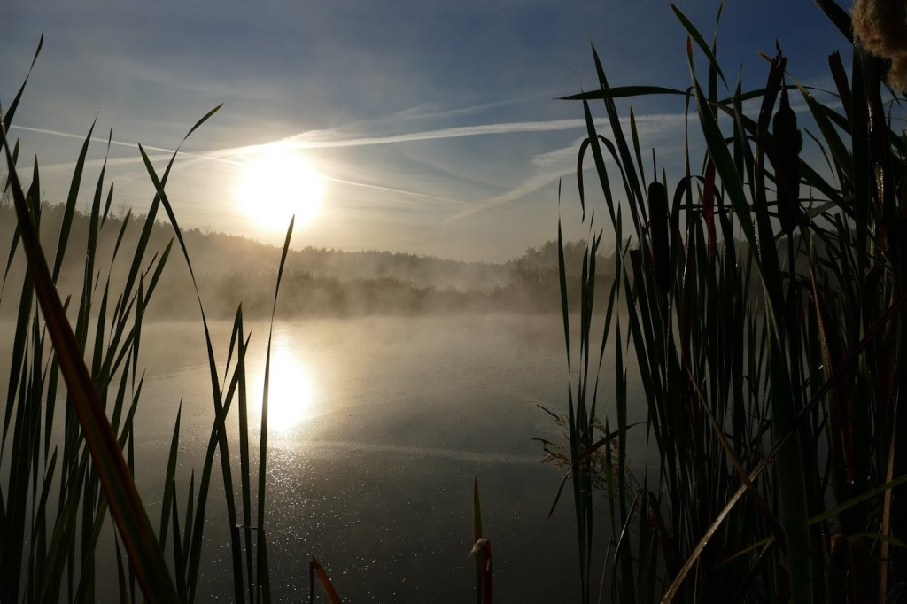 Stawy w Kośmidrach. Oskarżeni przed sądem