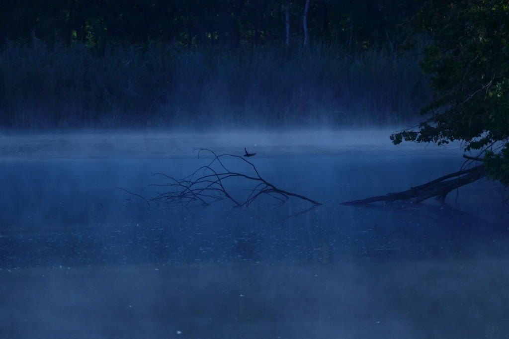 Stawy w Kośmidrach. Oskarżeni przed sądem