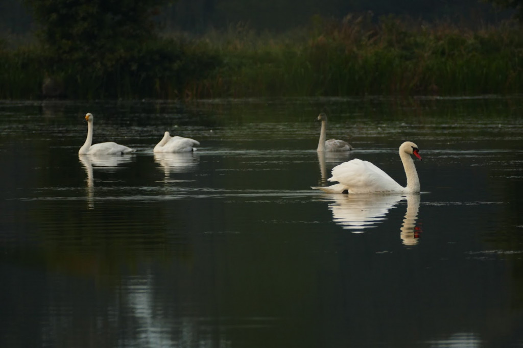 Stawy w Kośmidrach. Oskarżeni przed sądem