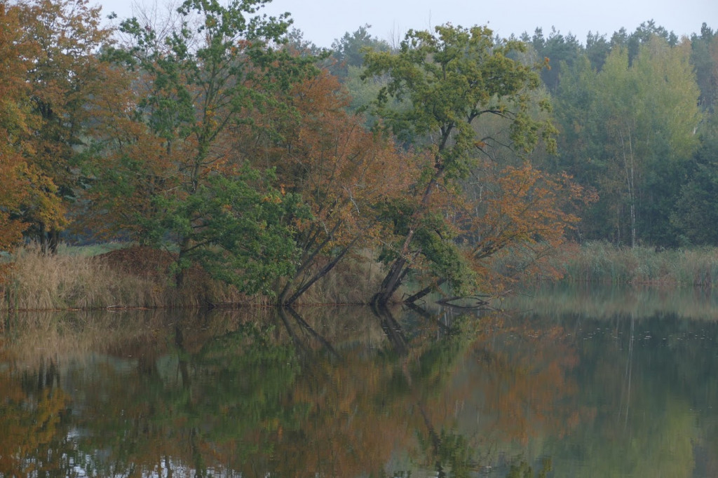 Stawy w Kośmidrach. Oskarżeni przed sądem