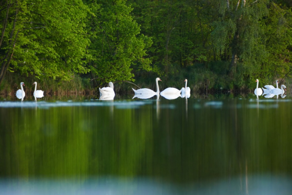 Stawy w Kośmidrach. Oskarżeni przed sądem