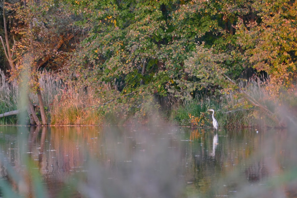 Stawy w Kośmidrach. Oskarżeni przed sądem