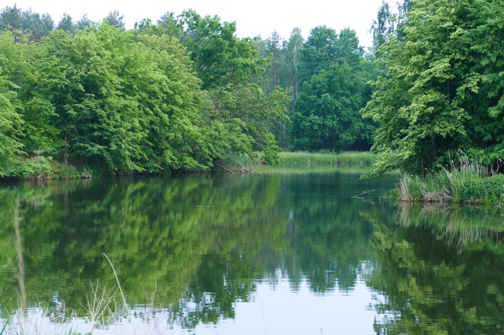 Stawy w Kośmidrach. Oskarżeni przed sądem