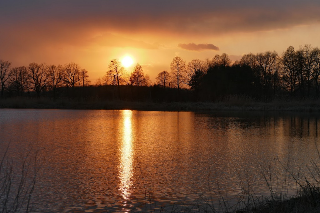 Stawy w Kośmidrach. Oskarżeni przed sądem