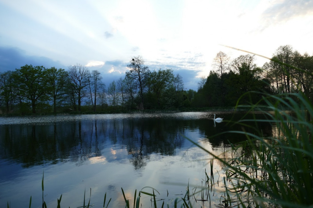 Stawy w Kośmidrach. Oskarżeni przed sądem