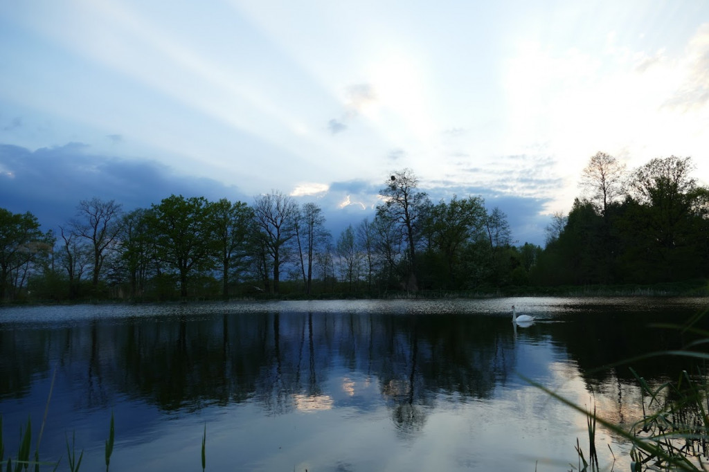 Stawy w Kośmidrach. Oskarżeni przed sądem