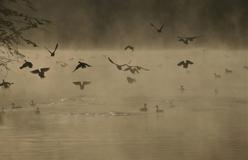 Stawy w Kośmidrach. Oskarżeni przed sądem